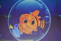 中村アンが描いたニモ。