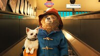 「パディントン」 (c)2014 STUDIOCANAL S.A. TF1 FILMS PRODUCTION S.A.S PADDINGTON BEAR TM, PADDINGTON TM AND PB TM ARE TRADEMARKS OF PADDINGTON AND COMPANY LIMITED