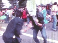 「東京白菜関K者」