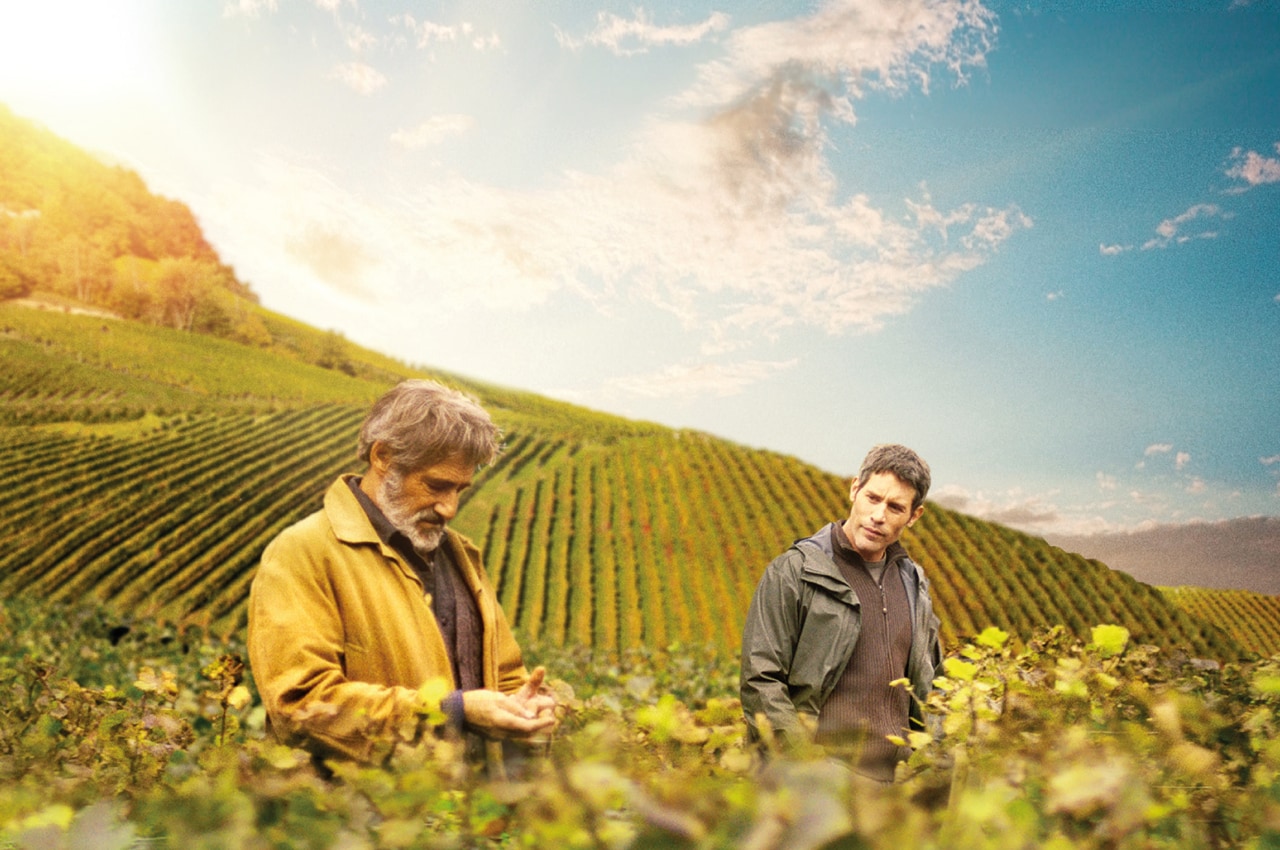 老舗ワイナリー営む家族の再生描く「ブルゴーニュで会いましょう」予告編