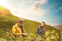 「ブルゴーニュで会いましょう」