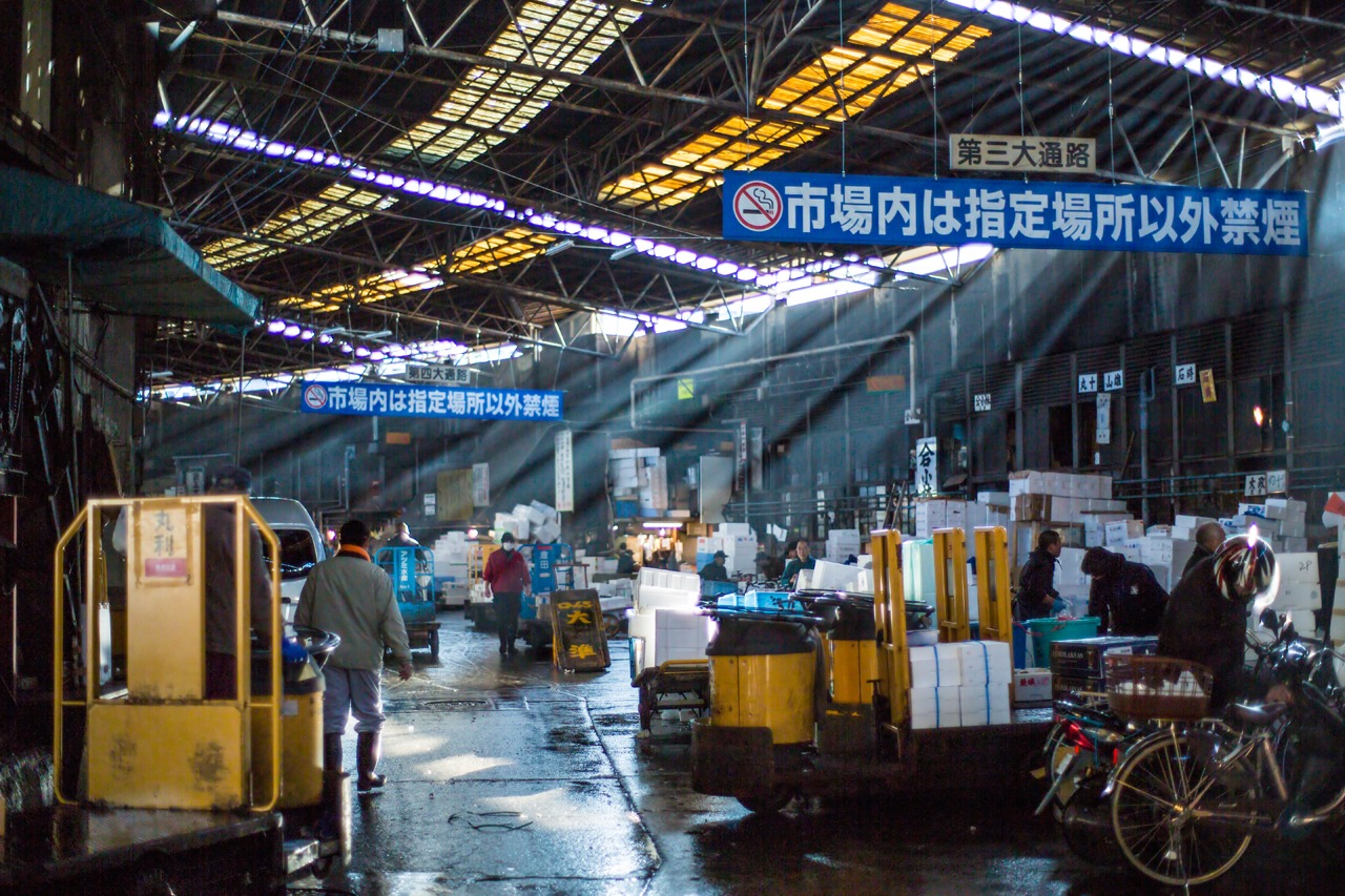 「TSUKIJI WONDERLAND（築地ワンダーランド）」 (c)2016松竹