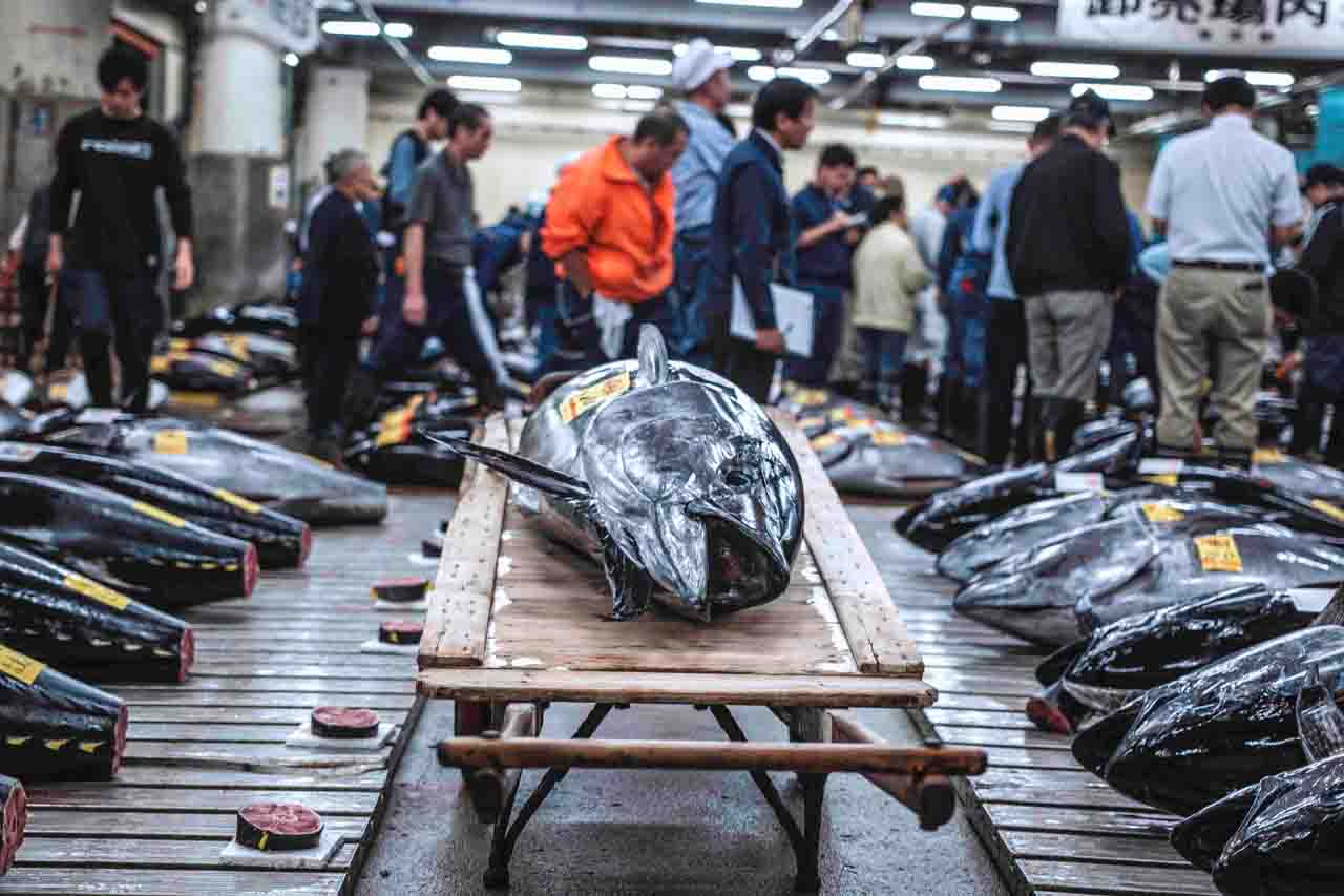 「TSUKIJI WONDERLAND（築地ワンダーランド）」 (c)2016松竹