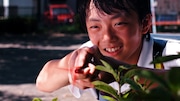 「野生のなまはげ」
