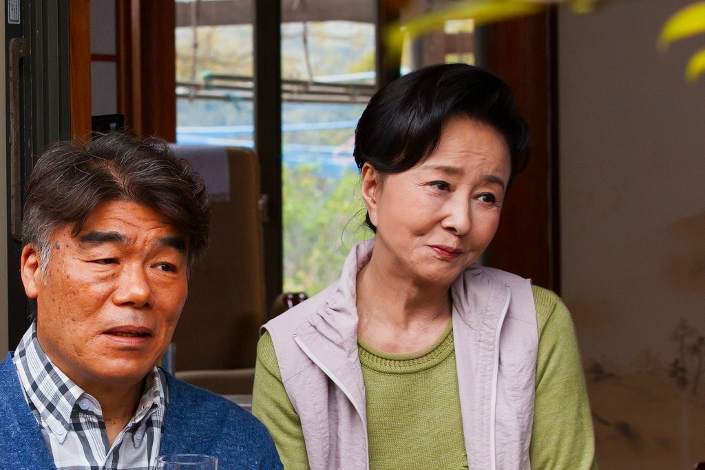 映画パンフレット 校庭に東風吹いて 監督 金田敬 キャスト 沢口靖子, 岩崎未来, 向鈴鳥, 村田雄浩, 星由里子, 遠藤久美子, 柊子, 映画パンフレット 校庭に東風吹いて 監督 金田敬 キャスト 沢口靖子