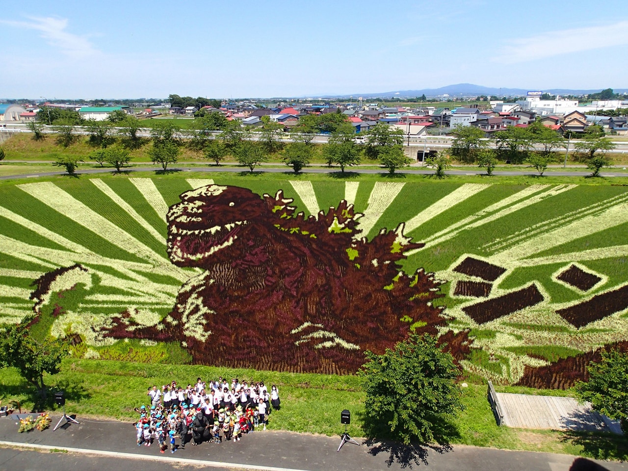 巨大ゴジラが青森に出現、7色9種類の苗使った田んぼアートが完成