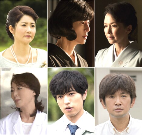 「カノン」追加キャスト。上段左から古村比呂、鈴木保奈美、多岐川裕美。下段左から島田陽子、桐山漣、長谷川朝晴。