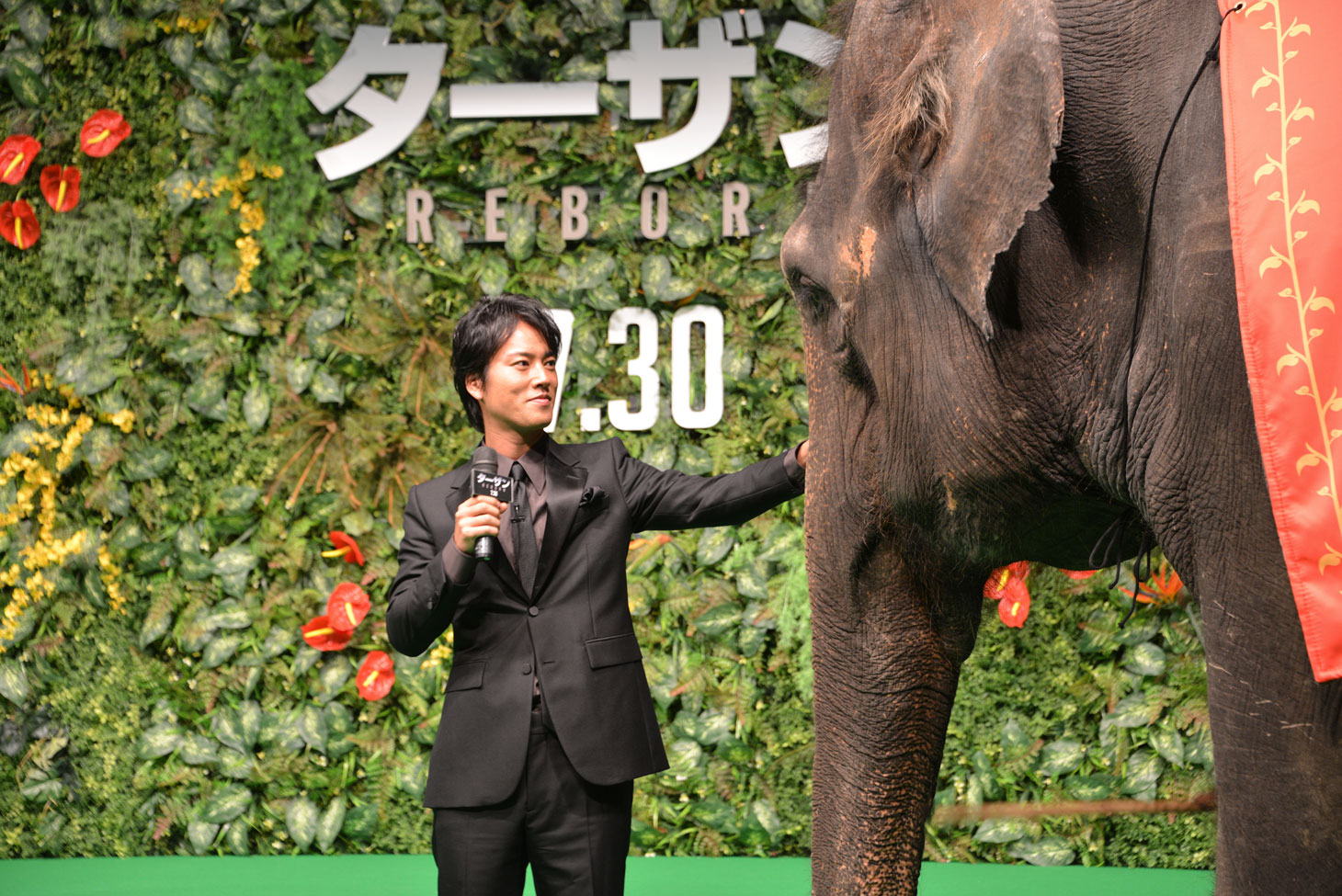 “同学年”ということで、ゾウのランディにフレンドリーに接する桐谷健太。