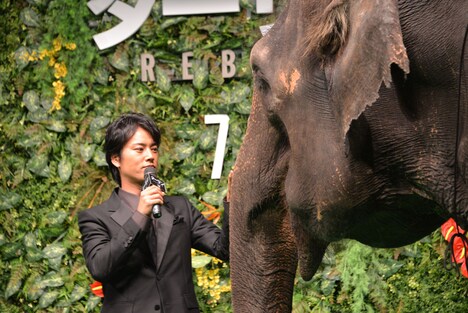 ゾウのランディをなでる桐谷健太。