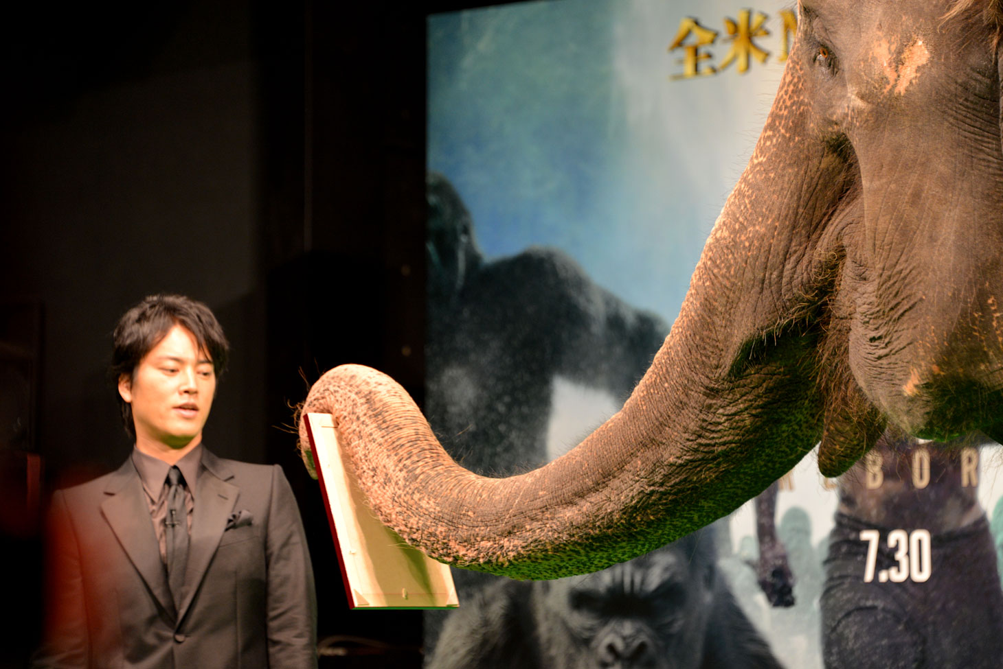 「ターザンの日」制定の賞状を、ゾウのランディから授与される桐谷健太。