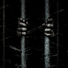 無人の森に潜む“何か”の恐怖描く、アダム・ウィンガード「ザ・ウッズ」12月公開
