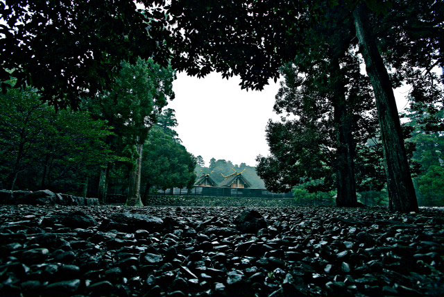 「うみやまあひだ 伊勢神宮の森から響くメッセージ」 (c)2014 Masaaki Miyazawa / Jingu all right reserved. (c)2014 Sustainable Investor