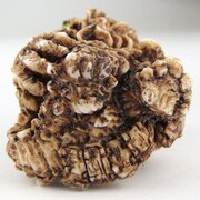 東宝怪獣根付 ヘドラ（1万800円）