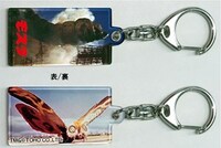 東宝怪獣プレートキーホルダー モスラ（600円）