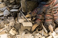 シン・ゴジラ展の様子。