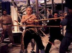 少林寺三十六房 嵐を呼ぶドラゴン などカンフー映画19本が7カ月連続放送 映画ナタリー