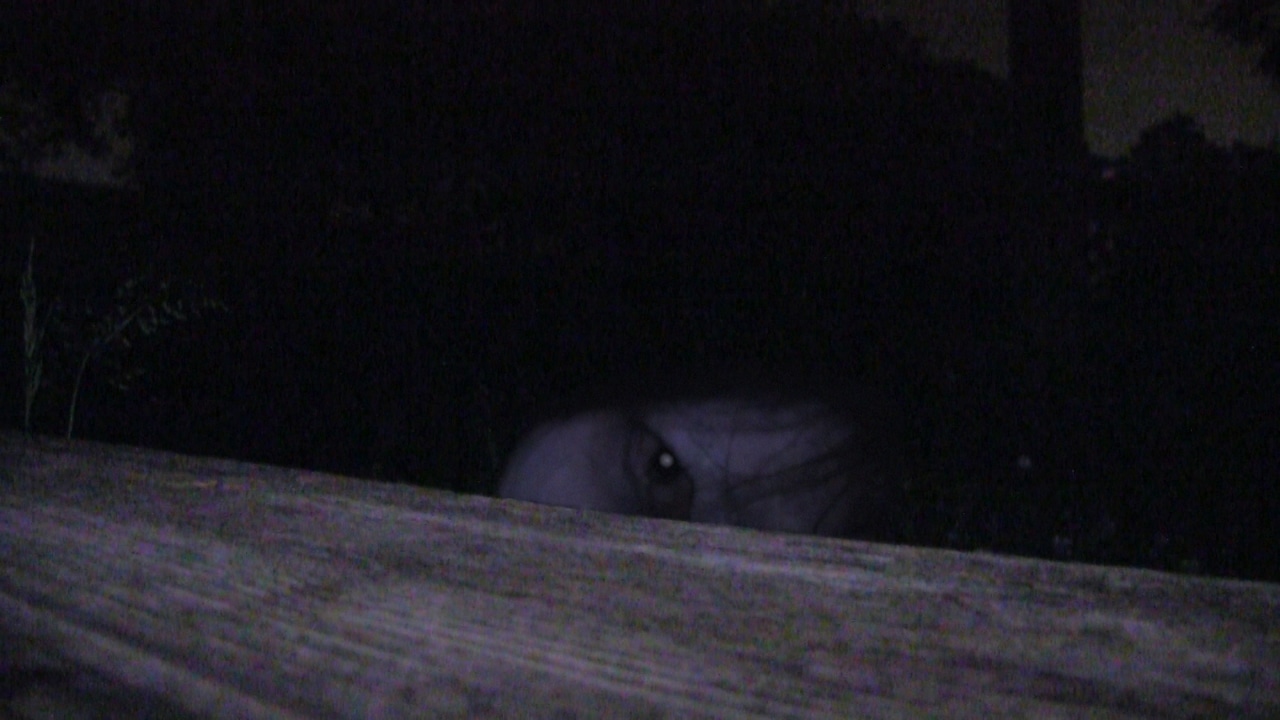 「埼霊～心霊感染迷宮～」