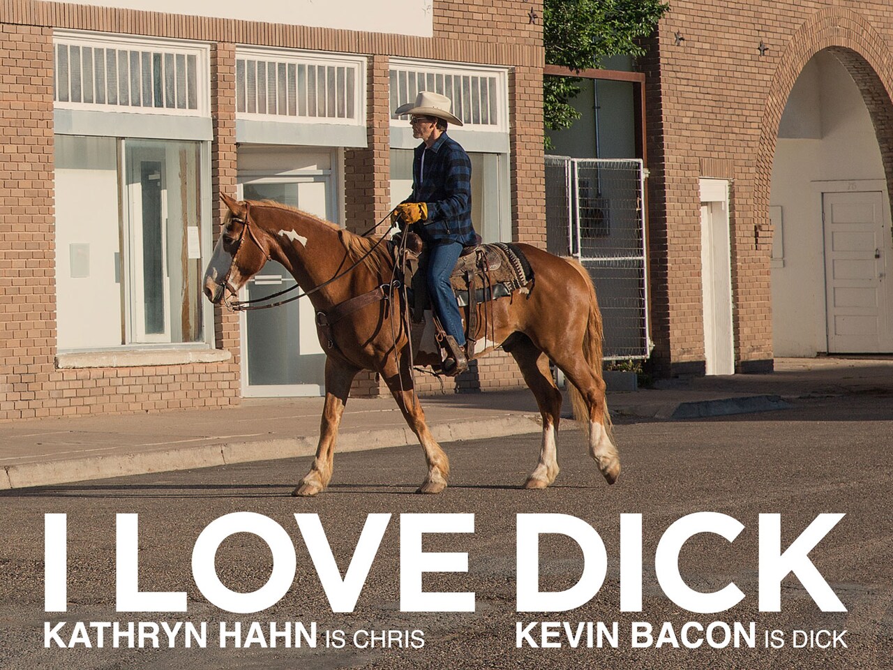 「アイ・ラブ・ディック（仮題）」