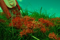 美術賞作品「血飛沫く生命」