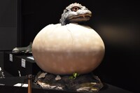 「大ゴジラ特撮王国 YOKOHAMA」展示の様子。