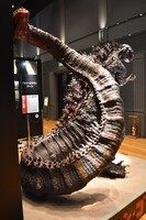 「大ゴジラ特撮王国 YOKOHAMA」展示の様子。