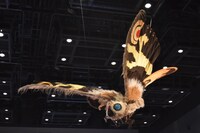 「大ゴジラ特撮王国 YOKOHAMA」展示の様子。