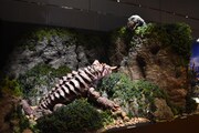 「大ゴジラ特撮王国 YOKOHAMA」展示の様子。