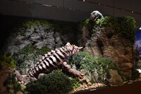 「大ゴジラ特撮王国 YOKOHAMA」展示の様子。