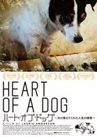「ハート・オブ・ドッグ ～犬が教えてくれた人生の練習～」ポスタービジュアル