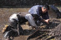 「うさぎ追いし～山極勝三郎物語～」