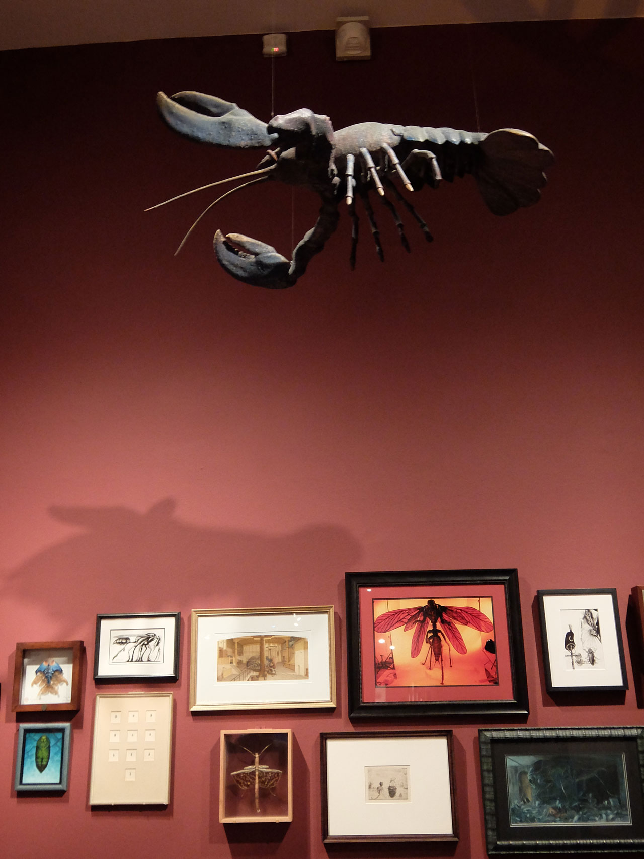 「Guillermo del Toro: At Home with Monsters」会場の様子。天井からぶら下がるロブスターの模型は、ギレルモ・デル・トロがチェコ・プラハで購入したもの。