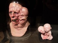 「Guillermo del Toro: At Home with Monsters」会場の様子。