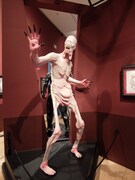 「パンズ・ラビリンス」にインスパイアされた模型。