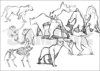 吉成曜が描いたラフスケッチ。