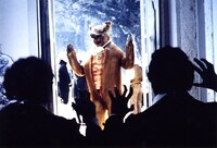 「カニバイシュ」