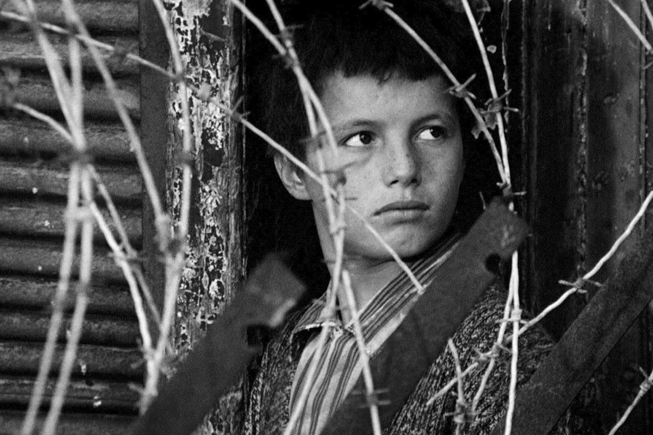 「アルジェの戦い（デジタル・リマスター／オリジナル言語版）」