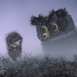 ユーリー・ノルシュテイン特集の試写会開催決定、特別ゲスト登壇も