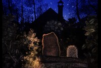 「霧の中のハリネズミ」