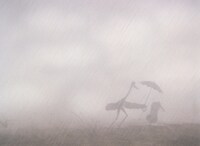 「アオサギとツル」