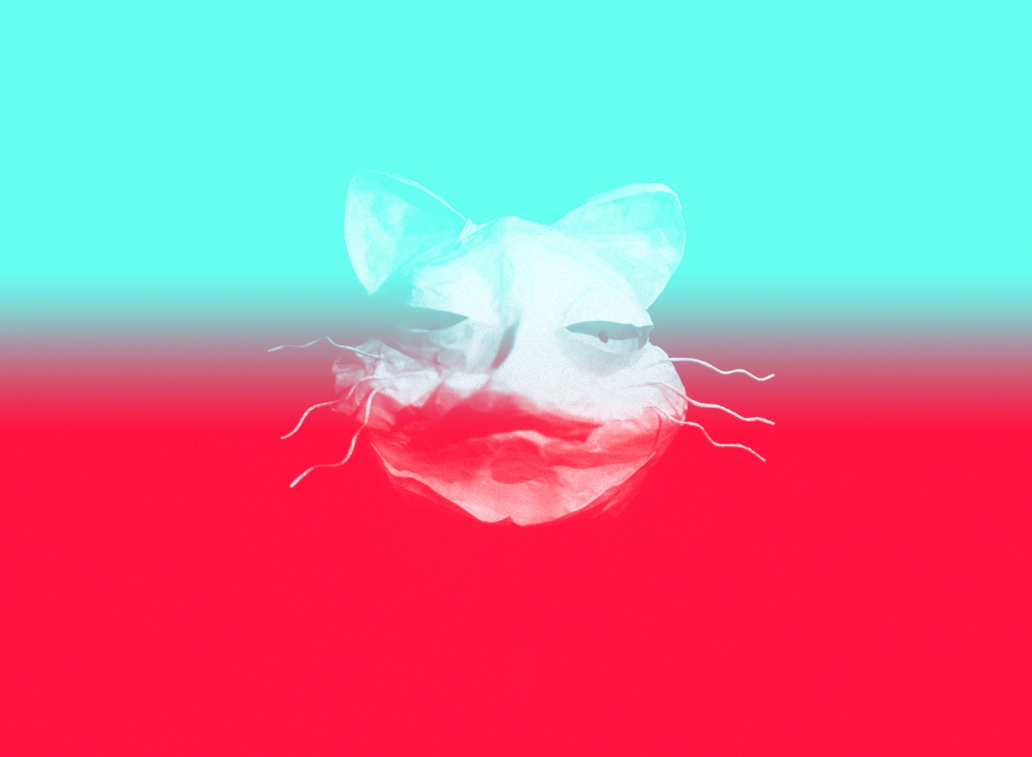 「はるねこ」ビジュアル