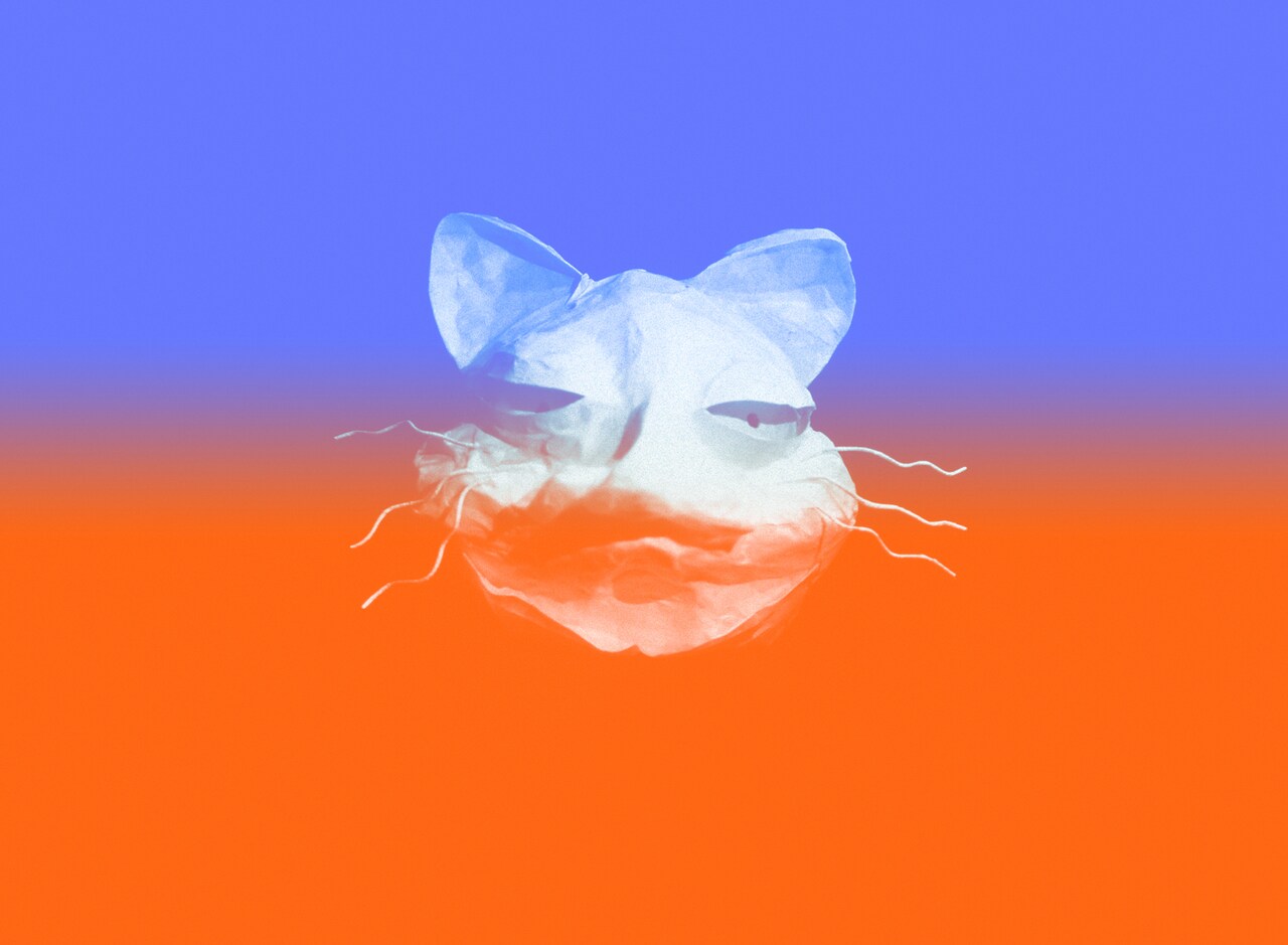 青山真治と仙頭武則のプロデュース作「はるねこ」予告編に田中泯や川瀬陽太らの姿