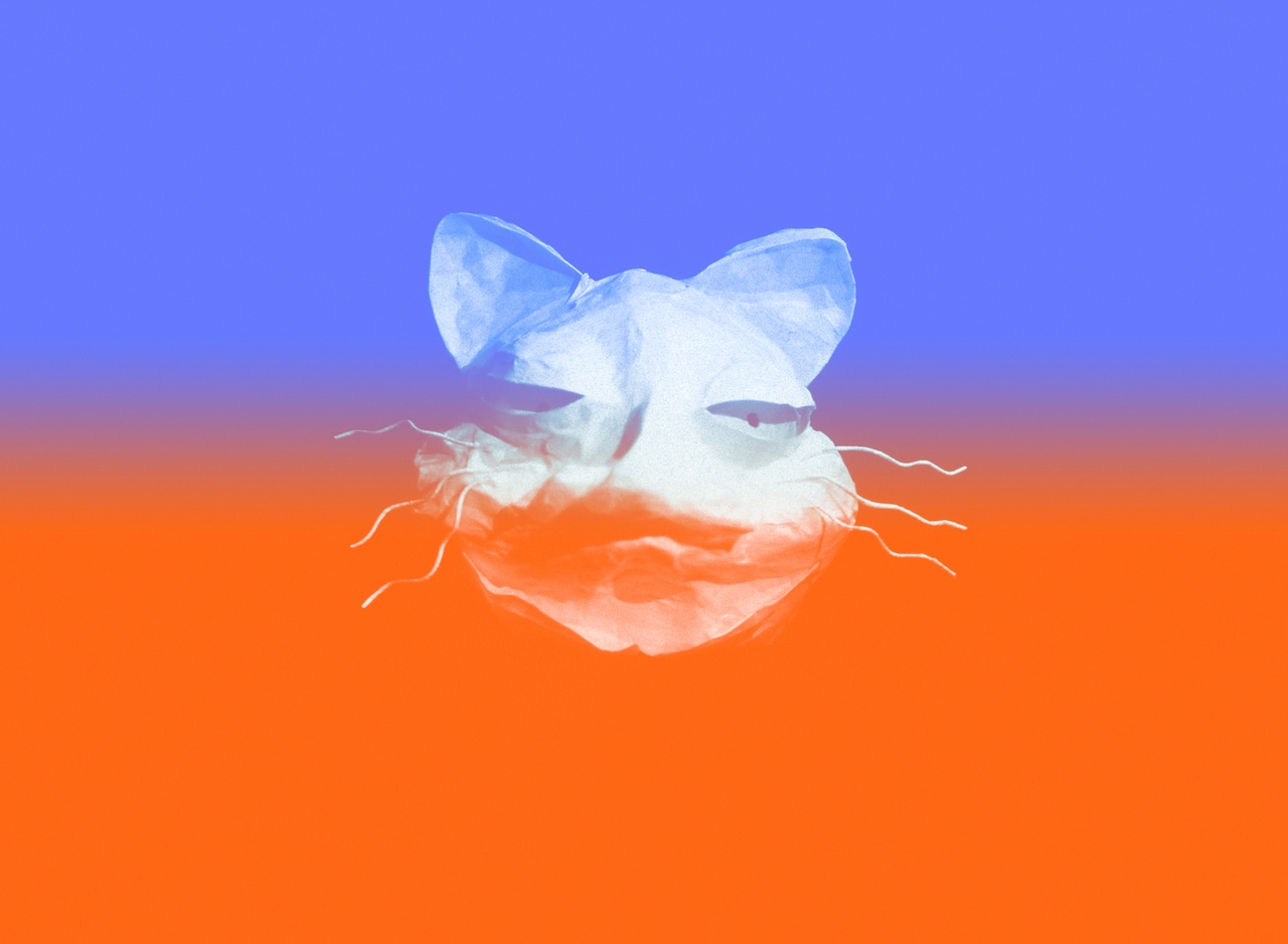 「はるねこ」ビジュアル
