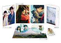 「世界から猫が消えたなら」豪華版の展開図。
