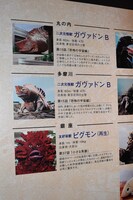 「ウルトラマン」に登場した怪獣たちの詳細。