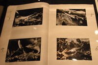 「ガメラ対大悪獣ギロン」スチール