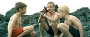 「エヴォリューション」