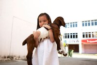 「FUN FAIR」 (c)2012「同じ星の下、それぞれの夜」製作委員会