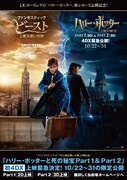「ハリー・ポッターと死の秘宝 PART1」「ハリー・ポッターと死の秘宝 PART2」4DX版上映劇場に掲出されるポスター。