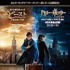 「ハリー・ポッターと死の秘宝」4DX上映決定、「ファンタビ」と並ぶポスター到着
