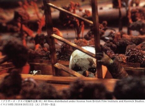 「ブラザーズ・クエイ短編作品集 III」